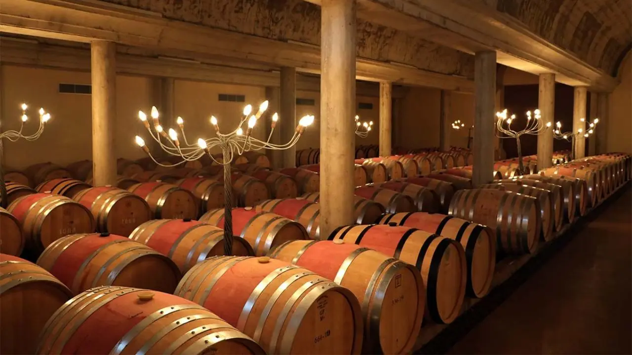 Private trips for parents in northern Spain